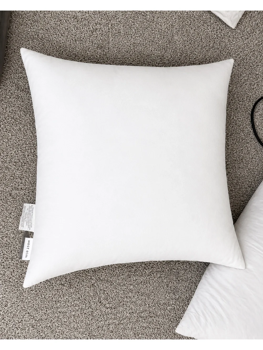 18x18 West Elm White Waterfowl Down Feather Pillow Insert
